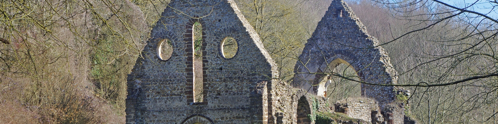 Choue (Loir-et-Cher) Ruines de la chapelle du prieuré Notre-Dame-de-l'Assomption de Guériteau (13e siècle). La chapelle se situe près d'une source aux vertus bienfaisantes, d'où le nom de Guériteau. Vers 1240, les Bénédictins, après avoir quitté leur prieuré situé dans l'enceinte du château de Mondoubleau, s'installèrent près de Choue. De ces constructions ne subsiste que la chapelle. La chapelle était déjà en ruine en 1791. Le prieuré de Guériteau a sa légende, il aurait été construit par un seigneur qui avait malmené un ecclésiastique : Selon Beauvais de Saint-Paul, historien de Mondoubleau, au début du XIIIe siècle, un seigneur de Mondoubleau parti en Terre sainte fut fait prisonnier. Les années passant, sa femme, Clémence des Roches, n'espérait plus son retour et trouvait du réconfort auprès du moine du petit prieuré dédié à Sainte Marie situé dans le domaine du château. Un jour qu'ils s'entretenaient tous deux de religion dans une pièce du donjon, le seigneur réapparut et, croyant que le prieur courtisait sa femme, le précipita par la fenêtre. Quand il comprit sa méprise, il offrit au moine, rescapé de sa chute, de lui construire un prieuré à Guériteau . (Légendes et mystères des régions de France - Par Éloïse MOZZANI)
