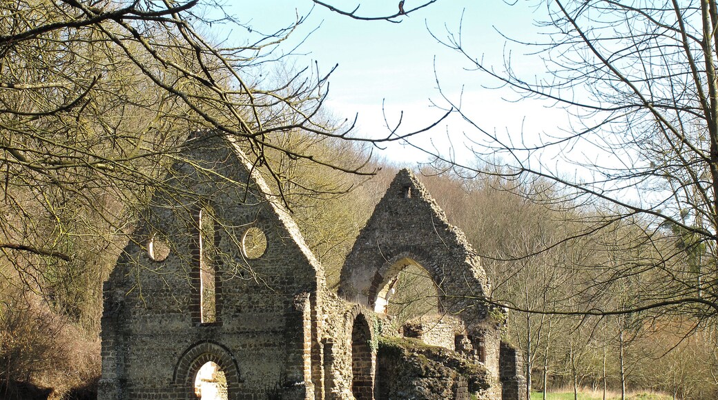 Choue (Loir-et-Cher) Ruines de la chapelle du prieuré Notre-Dame-de-l'Assomption de Guériteau (13e siècle). La chapelle se situe près d'une source aux vertus bienfaisantes, d'où le nom de Guériteau. Vers 1240, les Bénédictins, après avoir quitté leur prieuré situé dans l'enceinte du château de Mondoubleau, s'installèrent près de Choue. De ces constructions ne subsiste que la chapelle. La chapelle était déjà en ruine en 1791. Le prieuré de Guériteau a sa légende, il aurait été construit par un seigneur qui avait malmené un ecclésiastique : Selon Beauvais de Saint-Paul, historien de Mondoubleau, au début du XIIIe siècle, un seigneur de Mondoubleau parti en Terre sainte fut fait prisonnier. Les années passant, sa femme, Clémence des Roches, n'espérait plus son retour et trouvait du réconfort auprès du moine du petit prieuré dédié à Sainte Marie situé dans le domaine du château. Un jour qu'ils s'entretenaient tous deux de religion dans une pièce du donjon, le seigneur réapparut et, croyant que le prieur courtisait sa femme, le précipita par la fenêtre. Quand il comprit sa méprise, il offrit au moine, rescapé de sa chute, de lui construire un prieuré à Guériteau . (Légendes et mystères des régions de France - Par Éloïse MOZZANI)