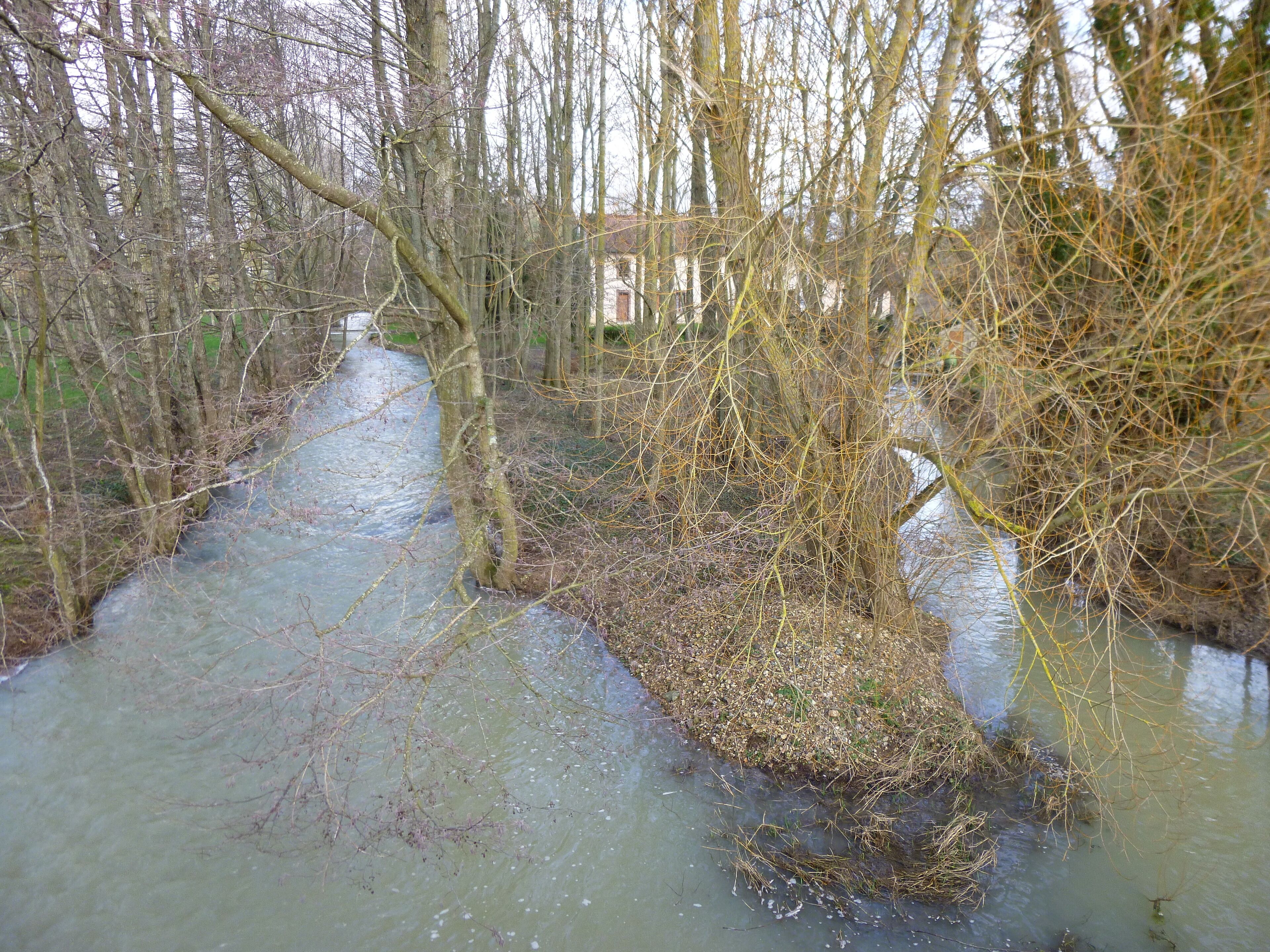 La Chapelle-sur-Aveyron, Loiret, Centre, France. Communal pond, viewed from the west. End of January, the Aveyron river just before it crosses the road to Château-Renard.