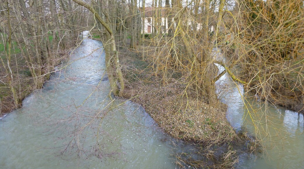 La Chapelle-sur-Aveyron, Loiret, Centre, France. Communal pond, viewed from the west. End of January, the Aveyron river just before it crosses the road to Chรขteau-Renard.