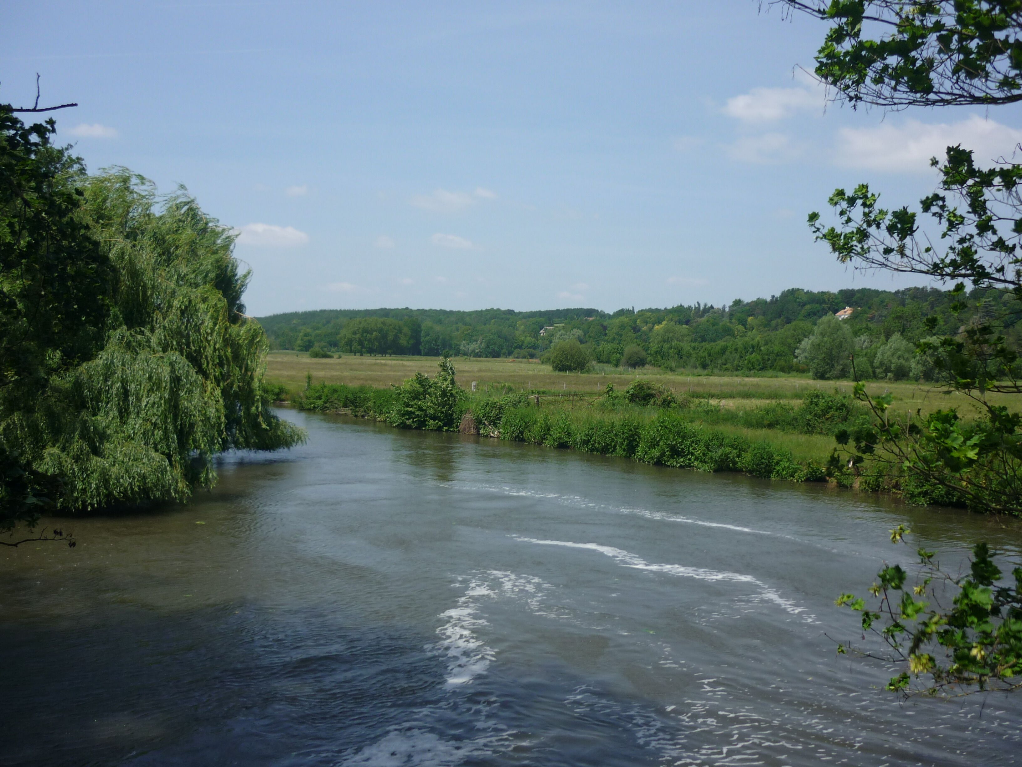 A river flowing through a lush green landscape with trees and fields.