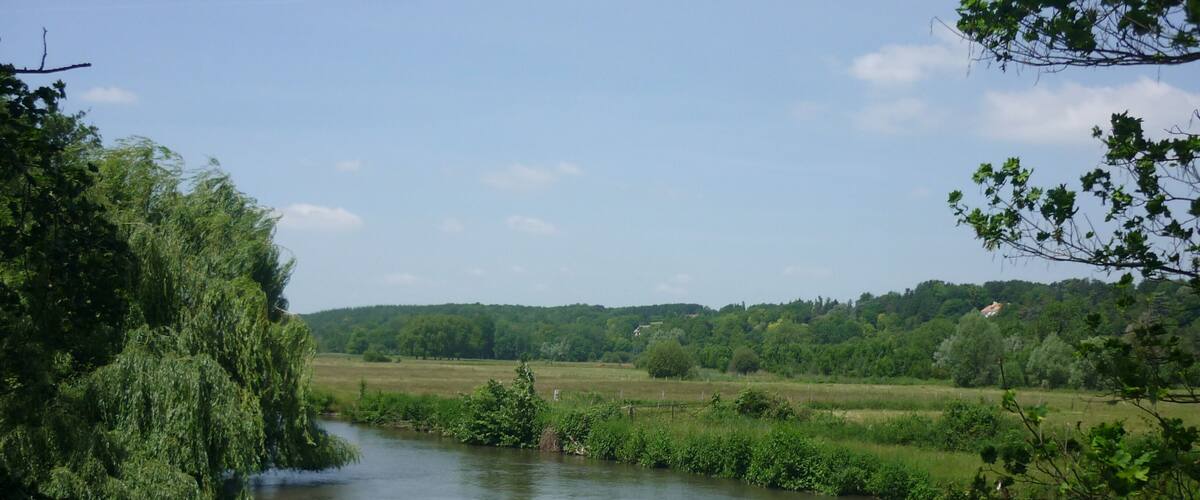A river flowing through a lush green landscape with trees and fields.