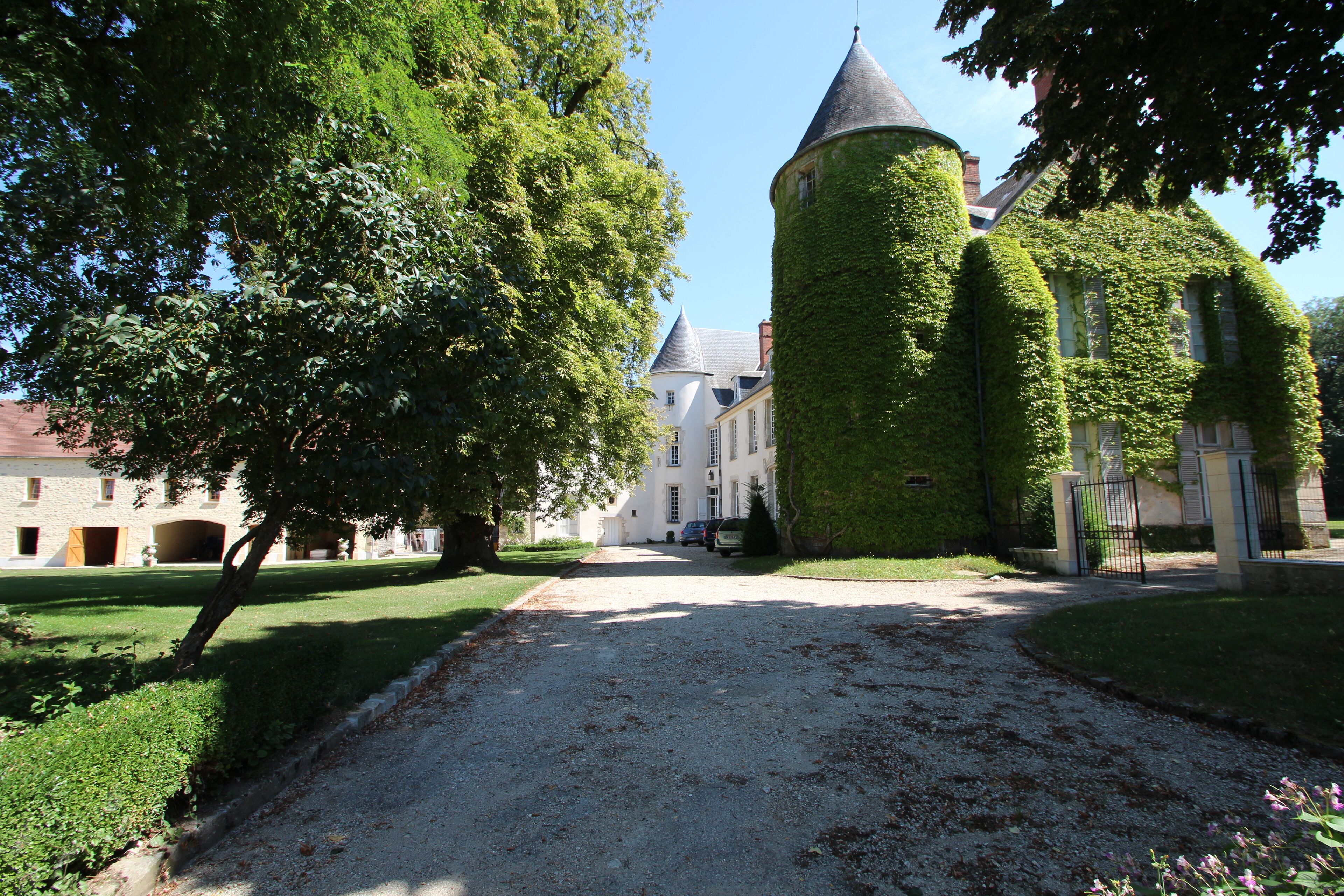 A castle with ivy-covered walls, a gravel driveway, and a large tree in the foreground.