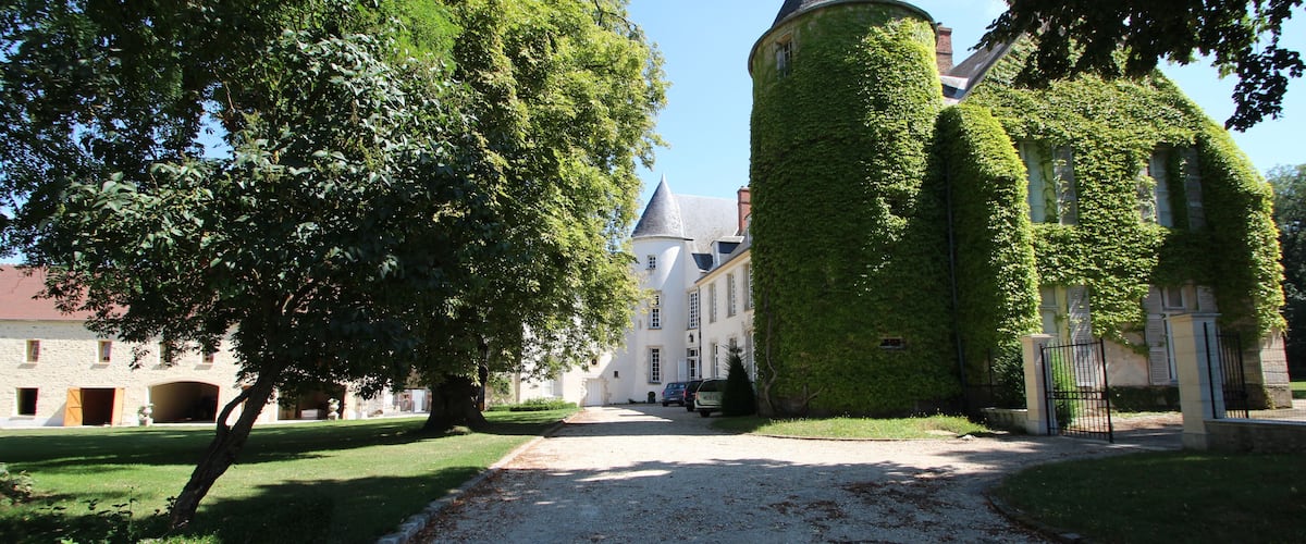 A castle with ivy-covered walls, a gravel driveway, and a large tree in the foreground.