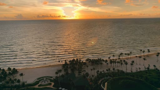 #golden #LifeatExpedia #WeLoveOurMarkets #PhuQuoc