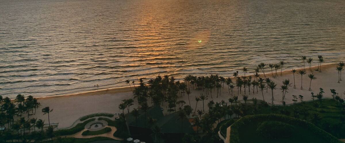 A sunset over a beach with palm trees and a landscaped garden.