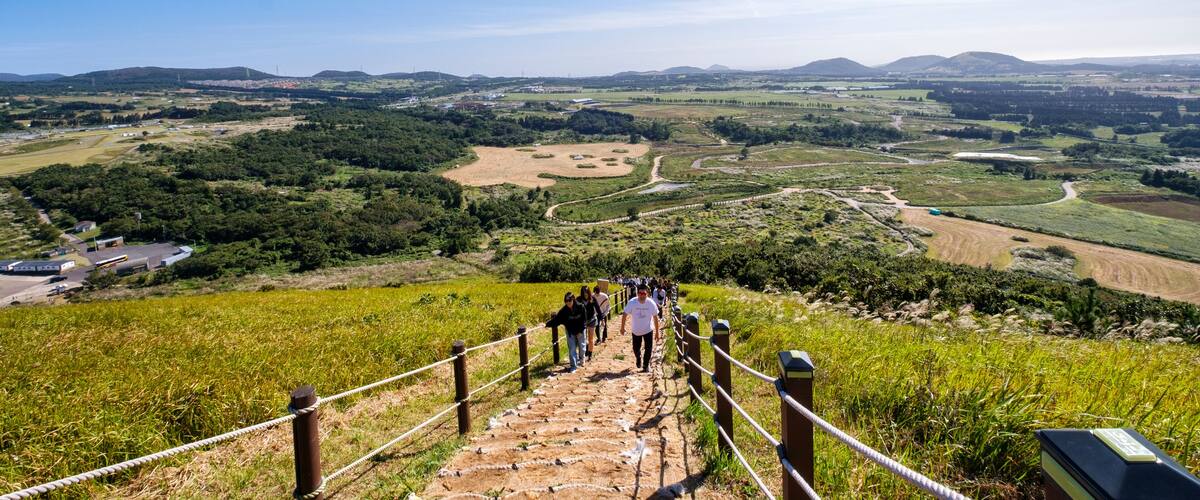 Visitors climbing up path beside silver grass growing during autumn on Saebyeol Oreum peak, Jeju Island, South Korea