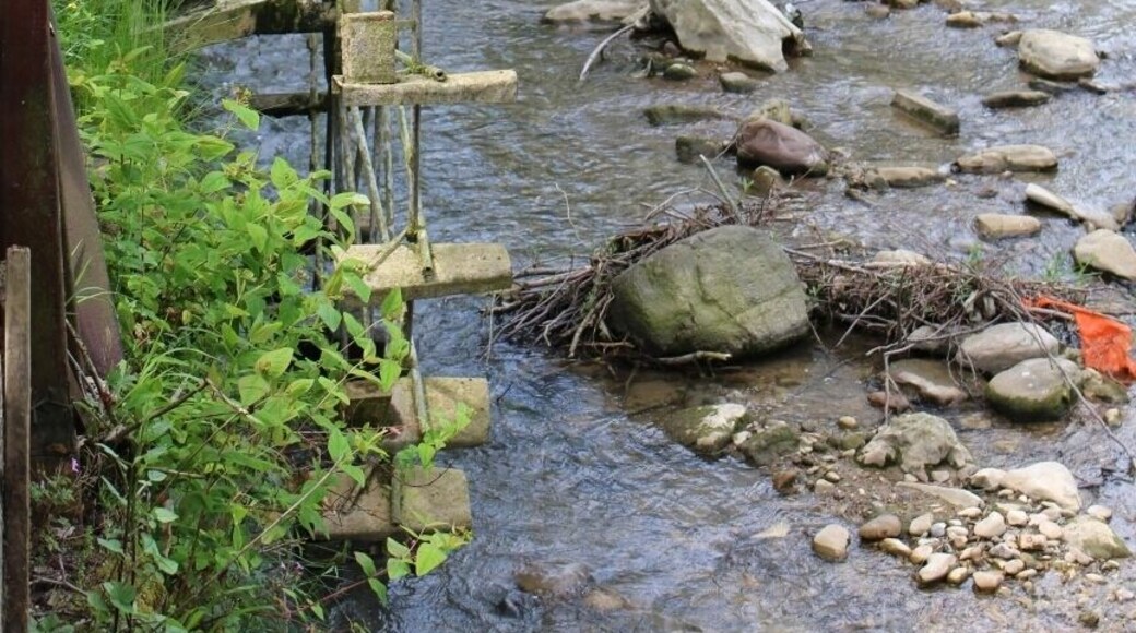 Water song ( Su çarkı)
Cumayanı, Karabük, Turkey
#watersong #cumayanı #karabuk #turkey