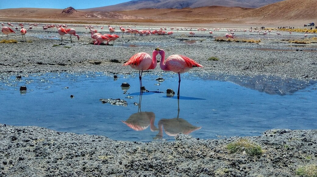 Potosi, Bolivia.
#landscape #water #mountains #potosi #bolivia #southamerica #BVSBlue #nature