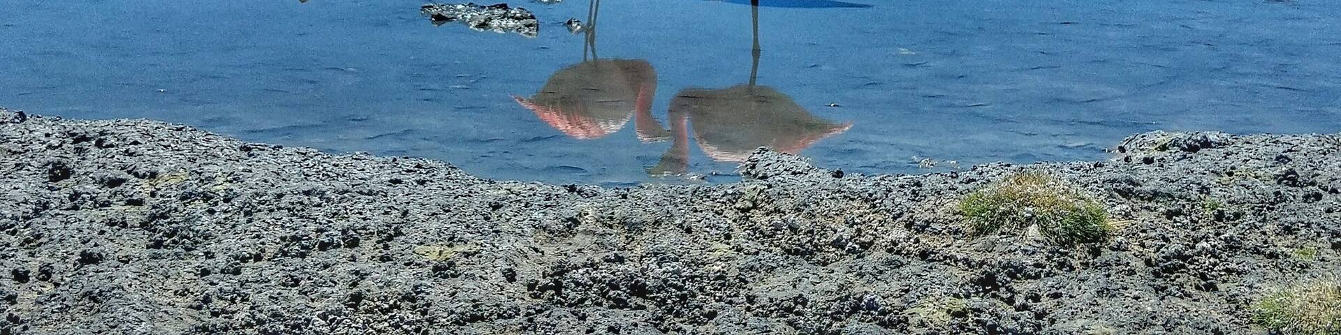 Potosi, Bolivia.
#landscape #water #mountains #potosi #bolivia #southamerica #BVSBlue #nature