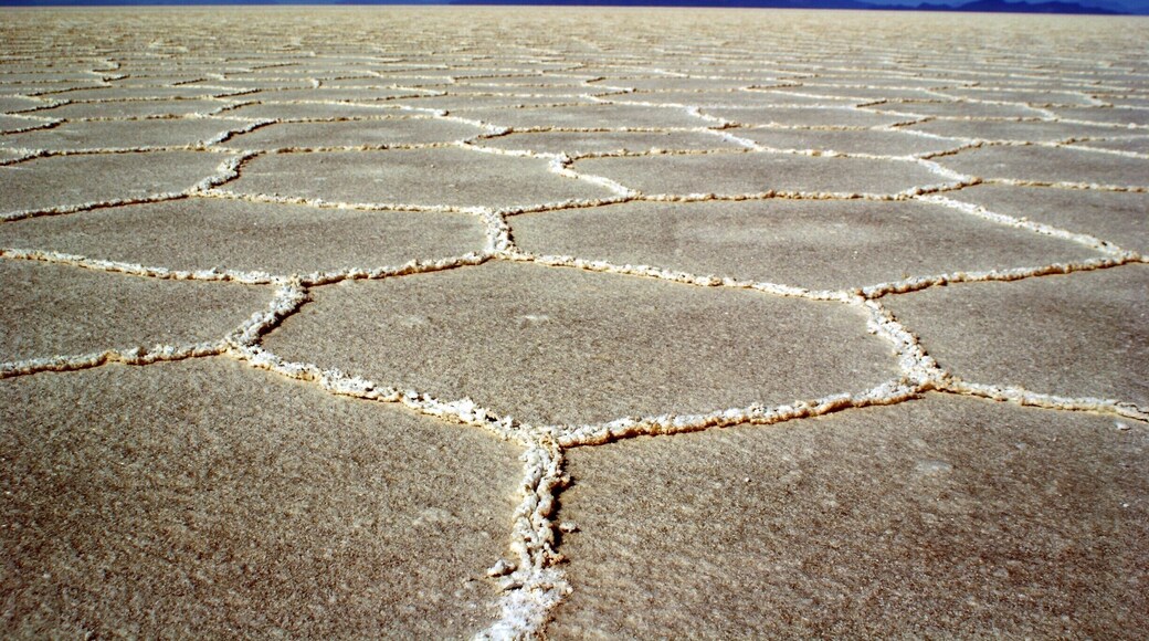 The crazy geometric design of the Uyuni salt flats.