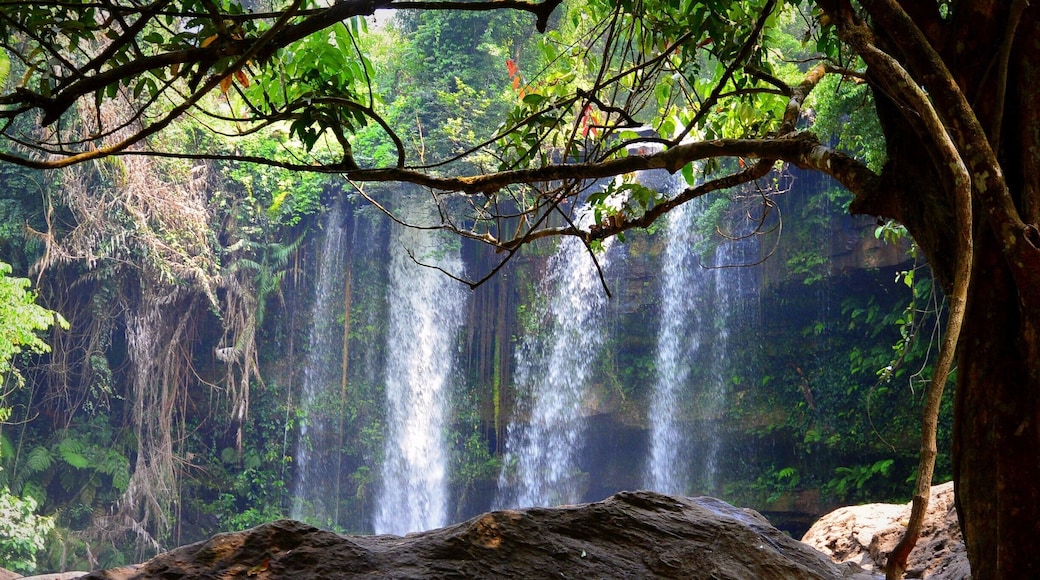 After a hike that made my knees a little weak ( read; one step in the wrong place and you are likely to make a nice drop ), we arrived at this beautiful waterfall in Phnom Kulen National Park in Cambodia. I only saw locals take a swim and a nice bonus; a free "Dr. Fish" experience during the swim; the fish here like to nibble your feet. They were building a stairs down, so hopefully future visitors will have a more relaxed journey down. #NationalPark #wander #waterfall