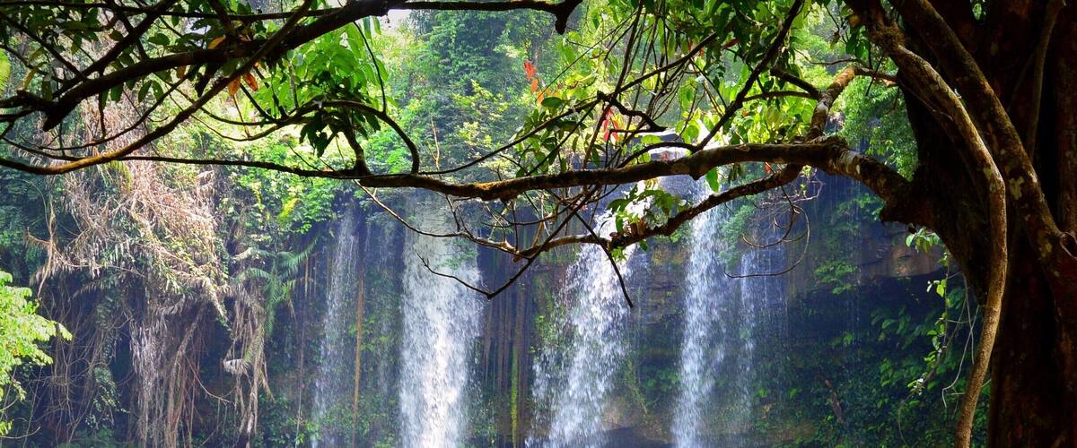 After a hike that made my knees a little weak ( read; one step in the wrong place and you are likely to make a nice drop ), we arrived at this beautiful waterfall in Phnom Kulen National Park in Cambodia. I only saw locals take a swim and a nice bonus; a free "Dr. Fish" experience during the swim; the fish here like to nibble your feet. They were building a stairs down, so hopefully future visitors will have a more relaxed journey down. #NationalPark #wander #waterfall