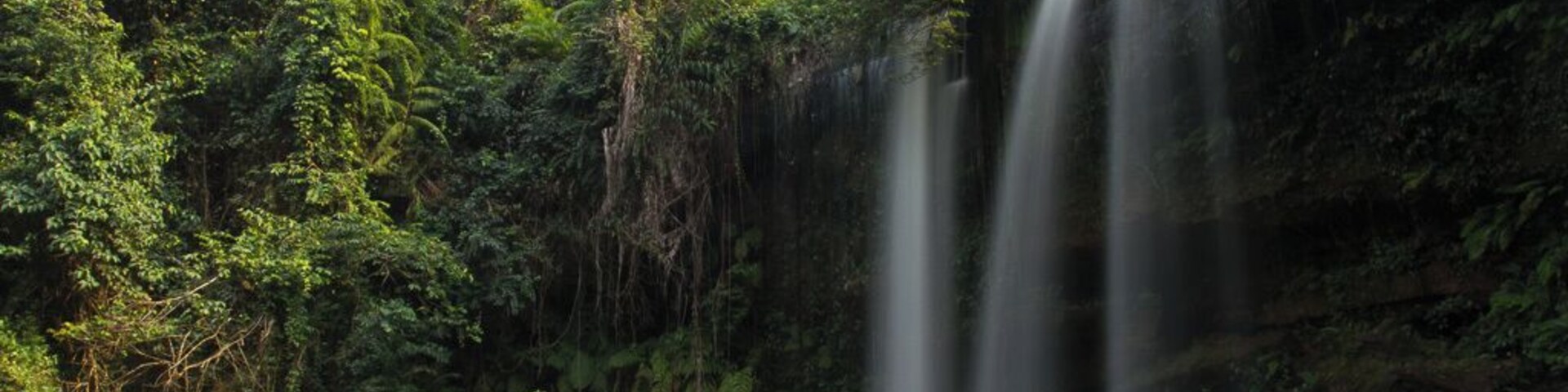 Una cascada rodeada de un bosque frondoso.