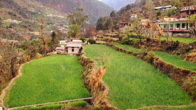 Terraced rice fields, a small traditional house, and a mountainous backdrop.