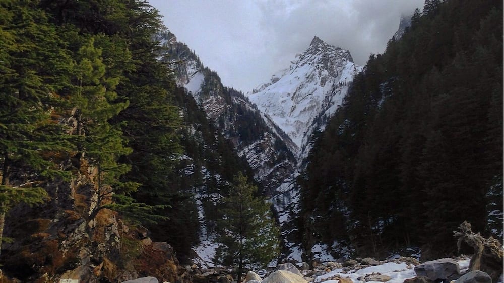 A rocky stream with snow-covered mountains and dense forests.