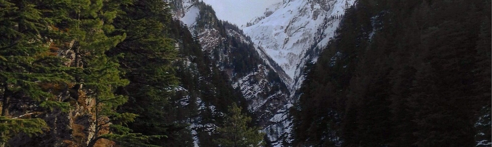 Un arroyo pedregoso con montañas nevadas y bosques densos.