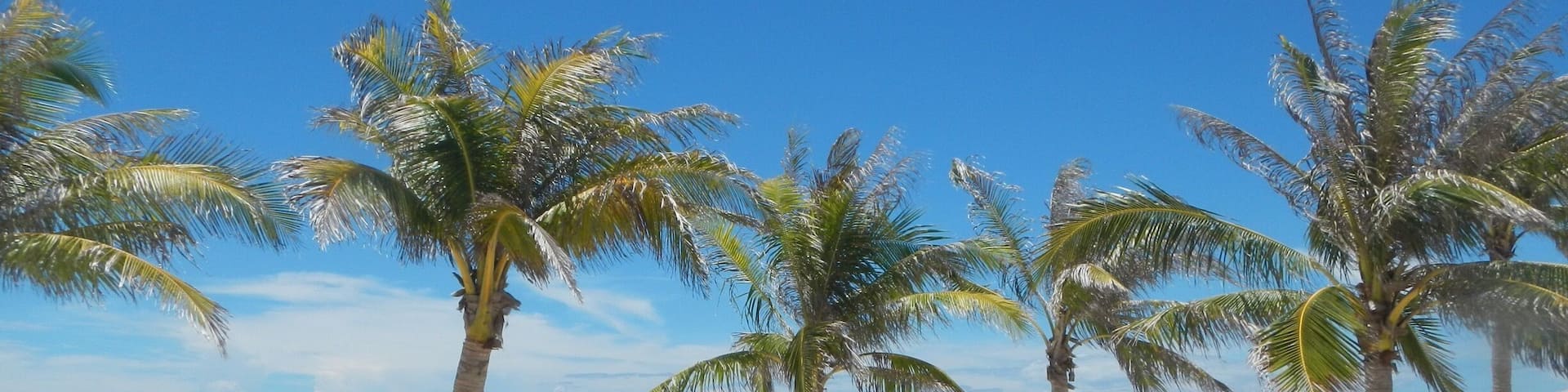 Take me back to the beach. Isla de Gigantes, Philippines.