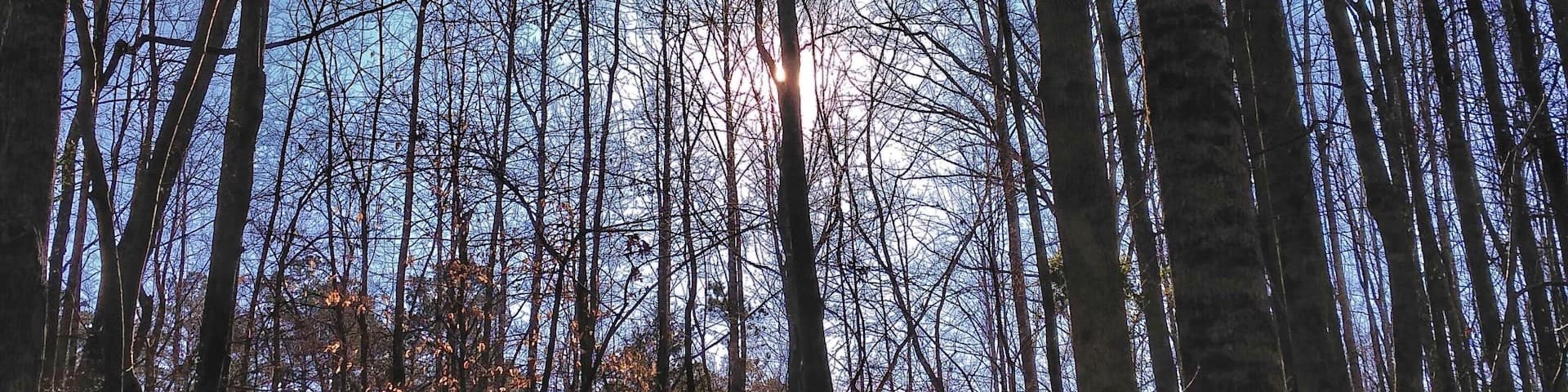 This is the sunrise I was blessed with while hunting turkeys.