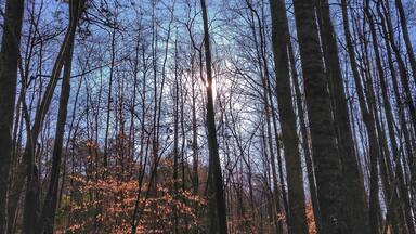 This is the sunrise I was blessed with while hunting turkeys.