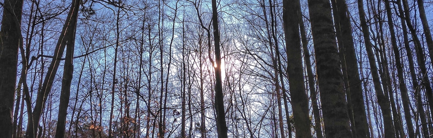 This is the sunrise I was blessed with while hunting turkeys.