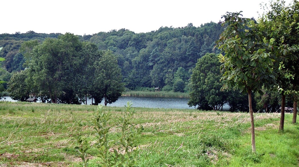 Lapitz (Kuckssee), view to the salt lake