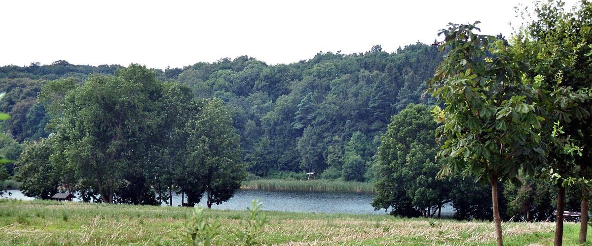 A lake surrounded by dense forest and grassy fields.