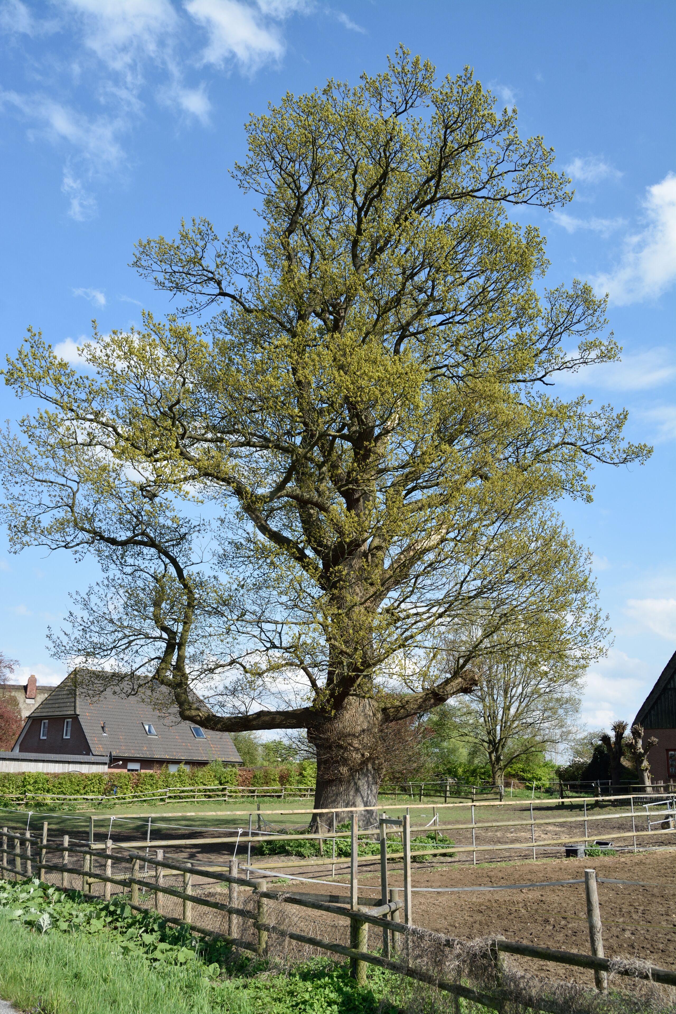 This image was uploaded as part of Wiki Loves Earth 2015.