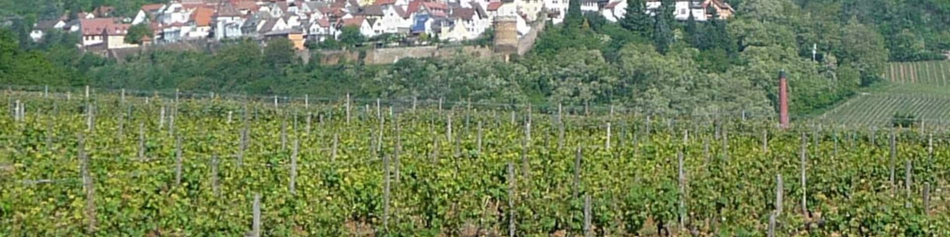 Blick auf Neueleiningen