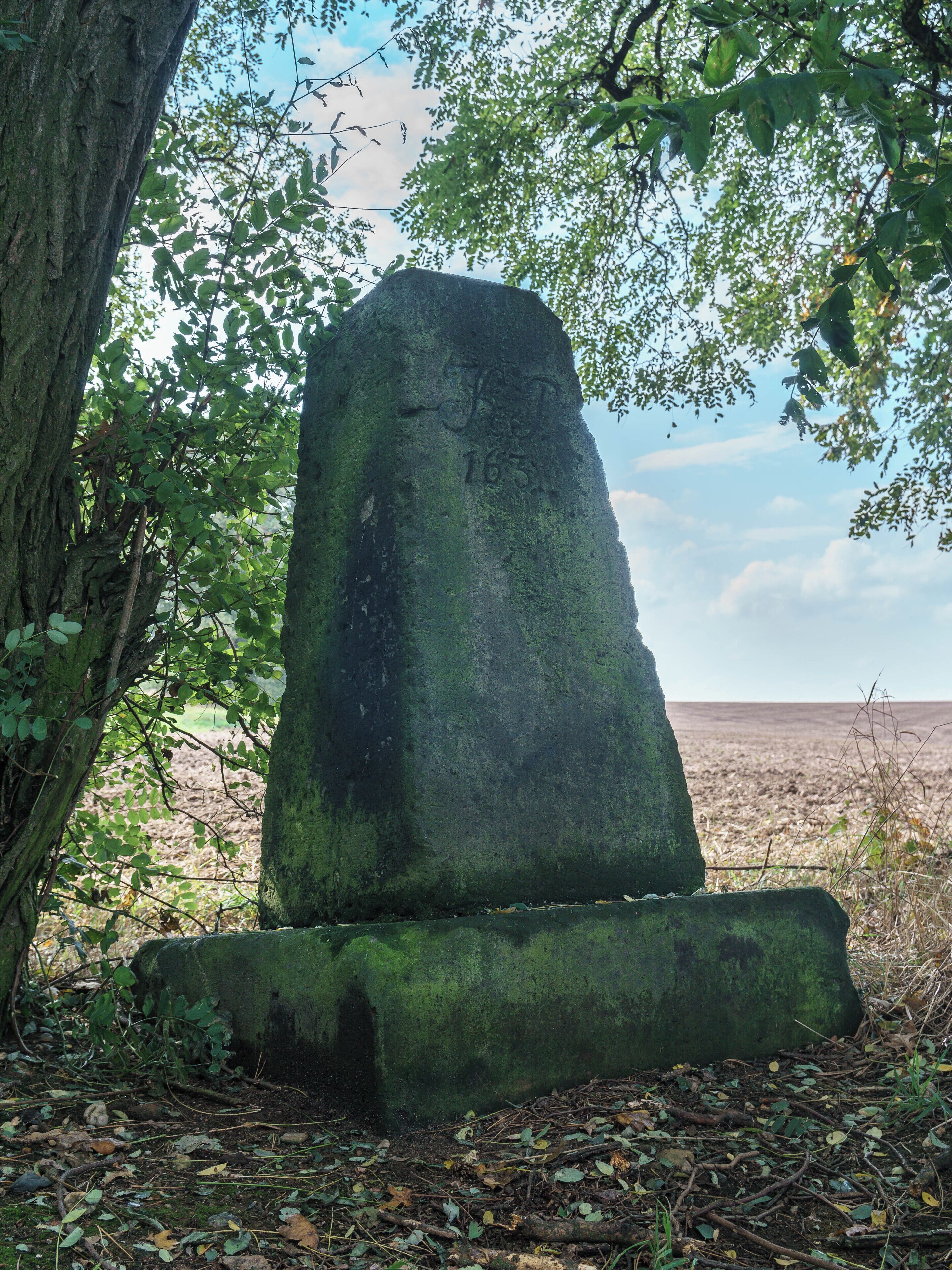 This media shows the protected monument of Saxony with the ID 08958820 KDSa/08958820(other).