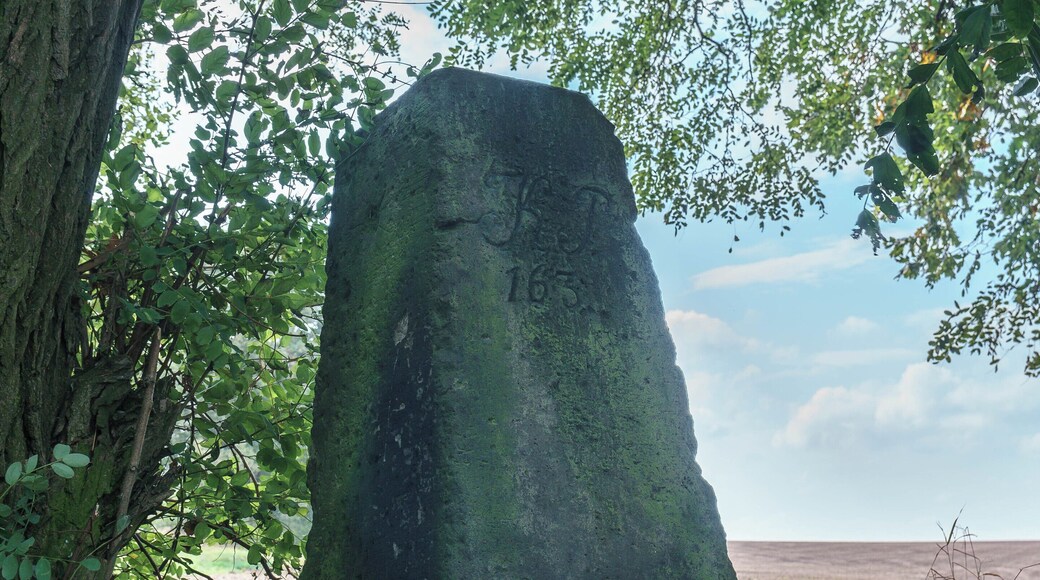 This media shows the protected monument of Saxony with the ID 08958820 KDSa/08958820(other).