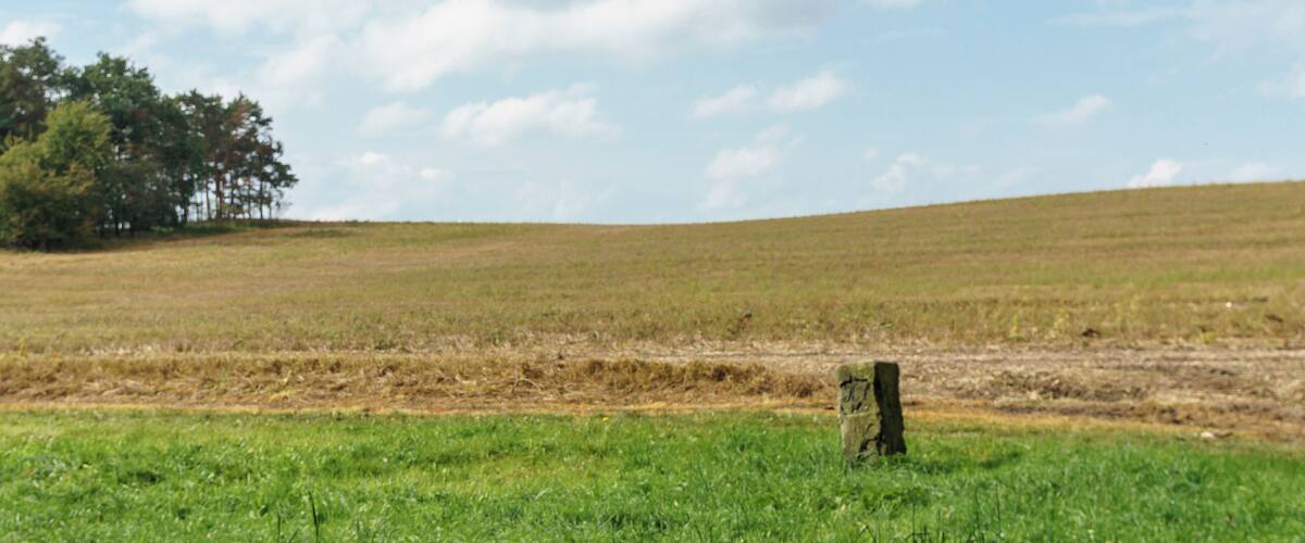 A grassy field with a wooden post and a tree in the distance under a partly cloudy sky.