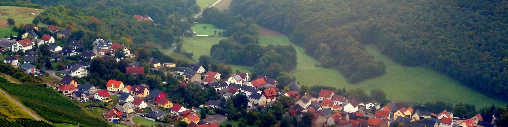 Burgsponheim