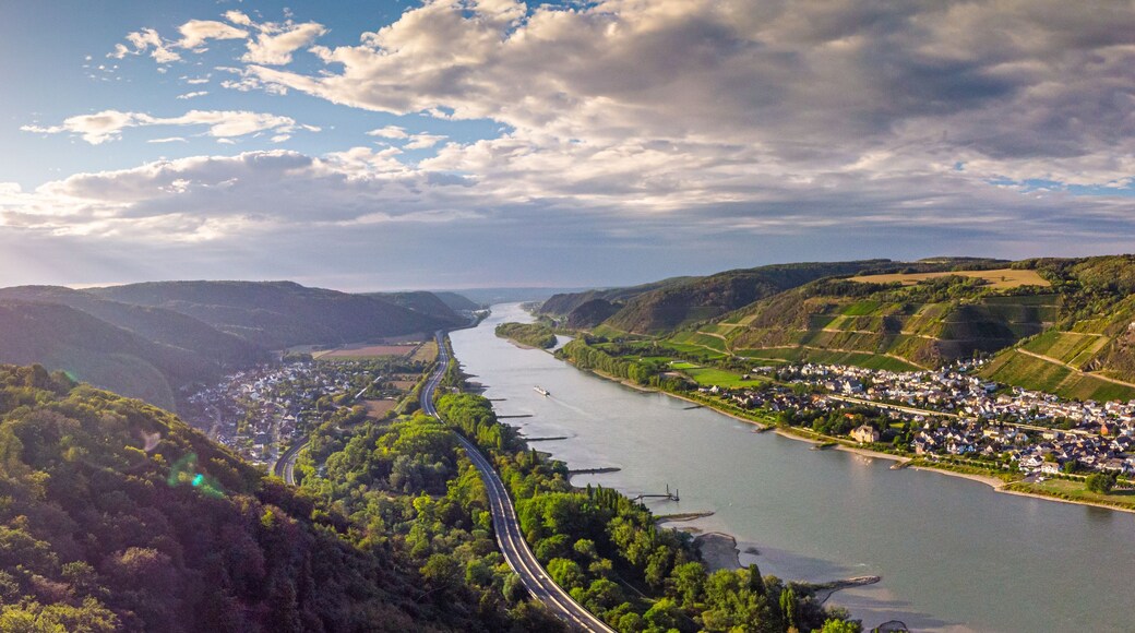 A river valley with a bridge, fields, and a town.