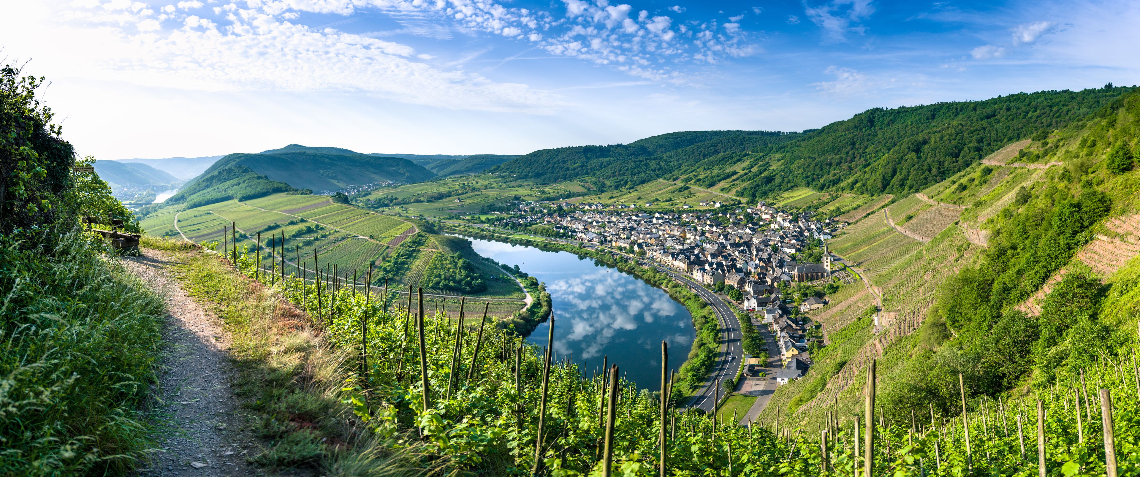 A river curving through a valley with a town on its banks, surrounded by hills and vineyards.