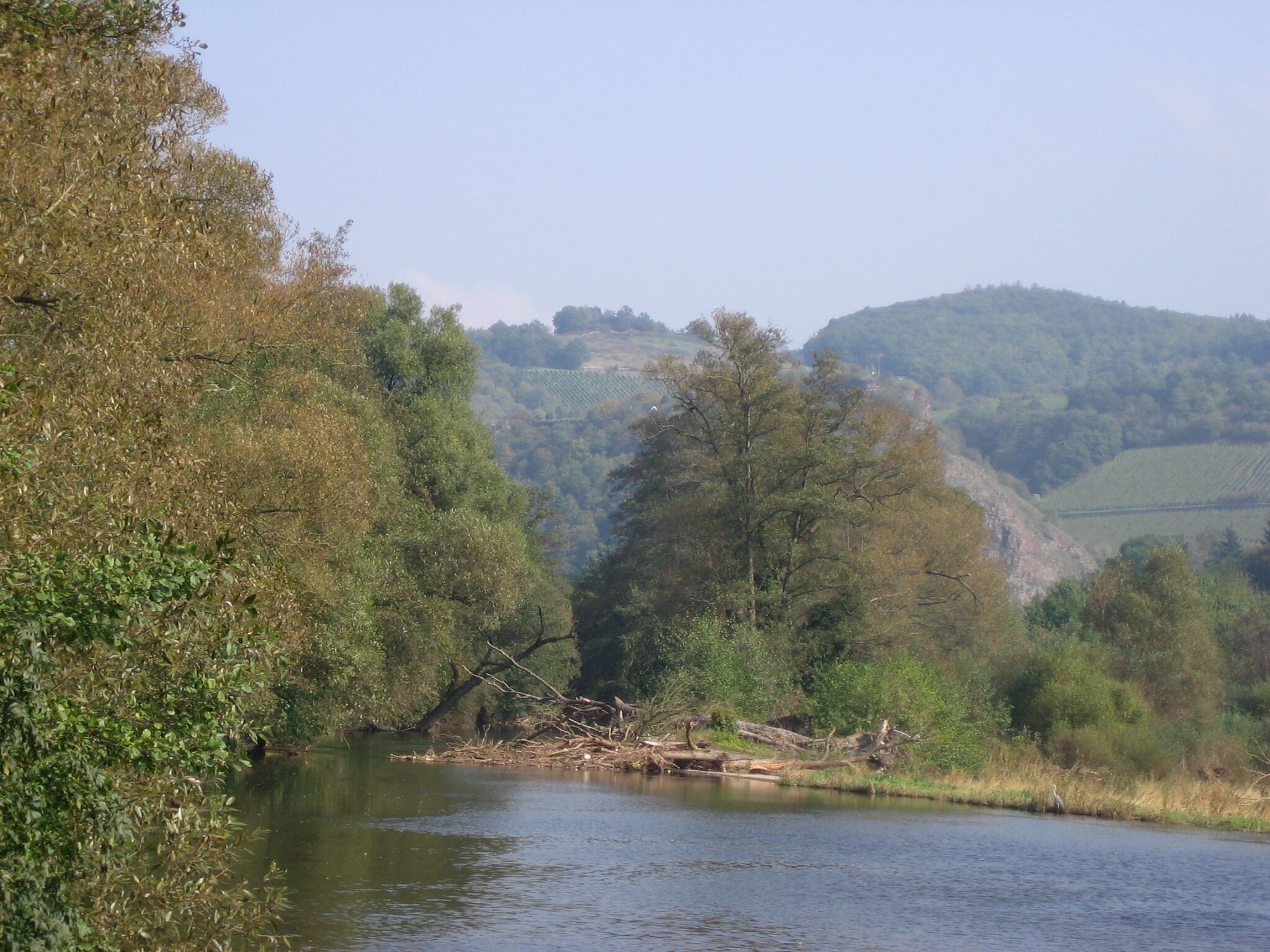 A river with trees and hills in the background.