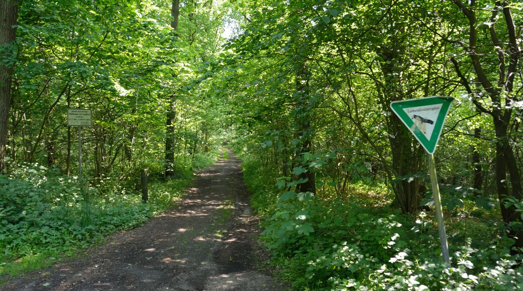 This is a picture of the protected area listed at WDPA under the ID