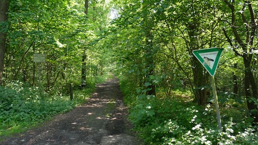 This is a picture of the protected area listed at WDPA under the ID