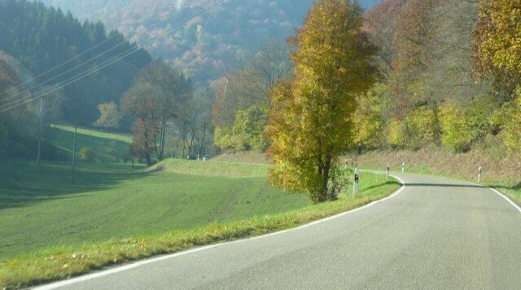 Im Heckenbachtal auf der L85 (Eifel)