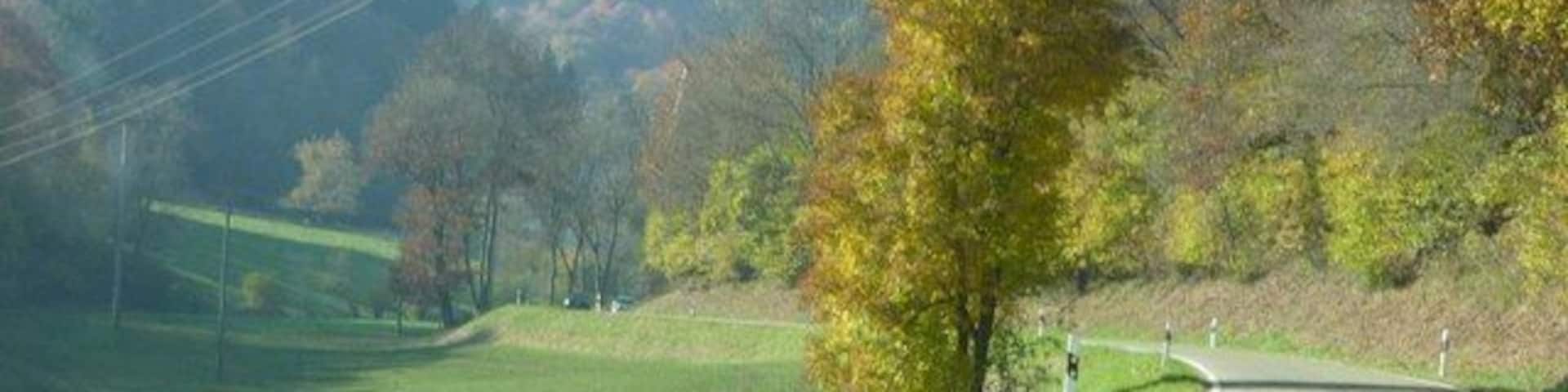 Im Heckenbachtal auf der L85 (Eifel)