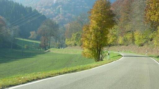 Im Heckenbachtal auf der L85 (Eifel)