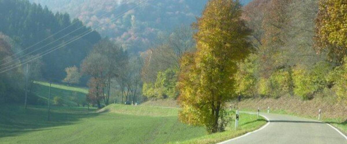 A winding road through a hilly landscape with autumn-colored trees.