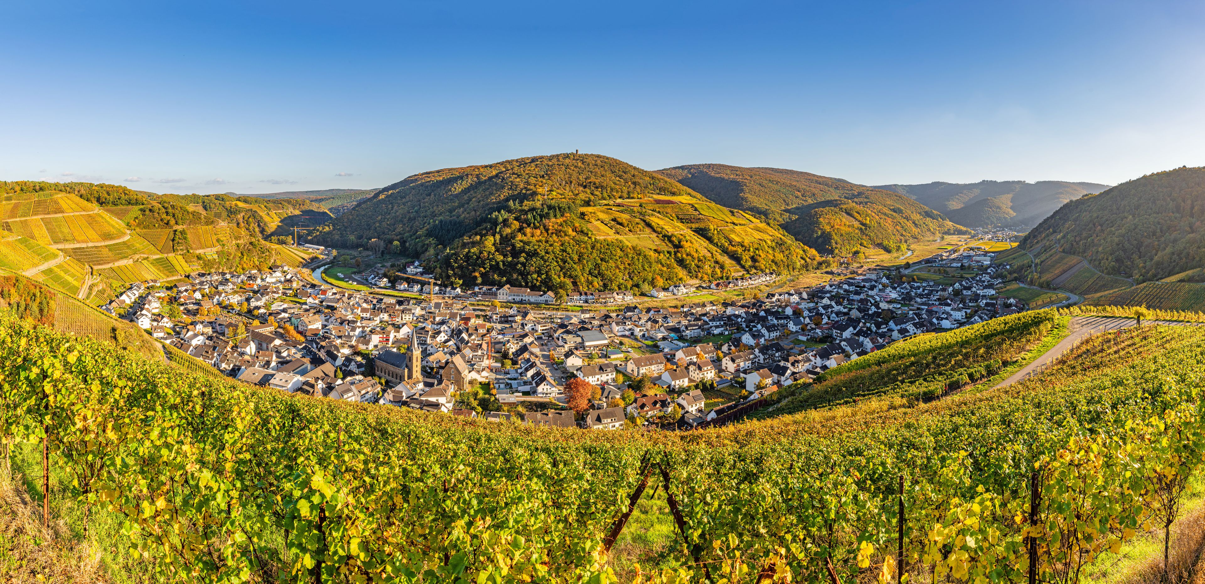 A town nestled in a valley surrounded by hills, with vineyards in the foreground.