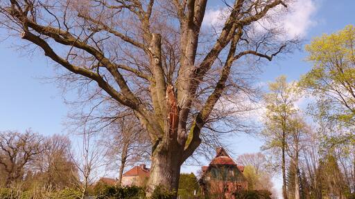 This image was uploaded as part of Wiki Loves Earth 2015.