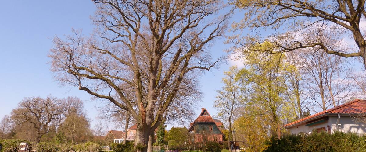 This image was uploaded as part of Wiki Loves Earth 2015.