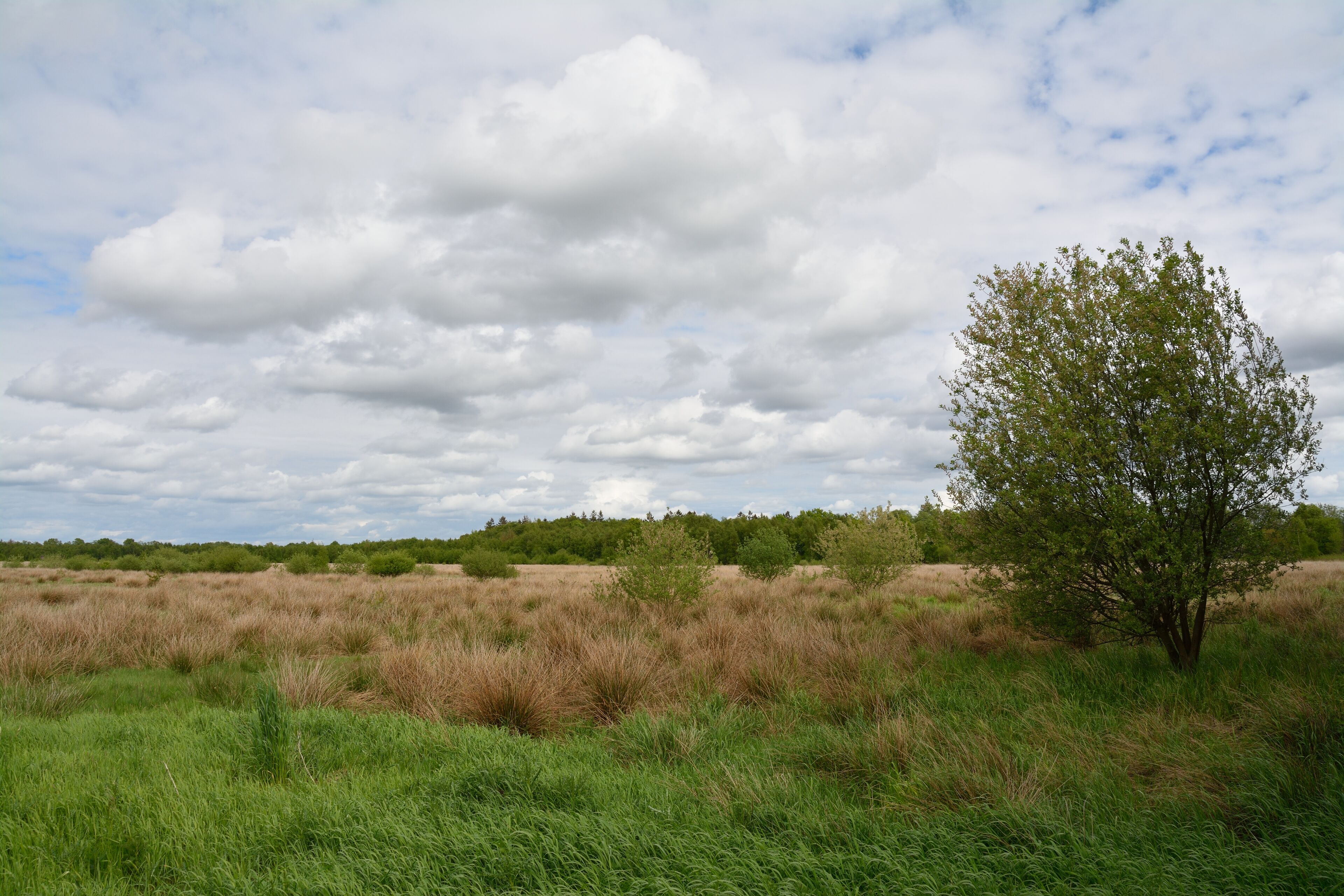 This image was uploaded as part of Wiki Loves Earth 2015.