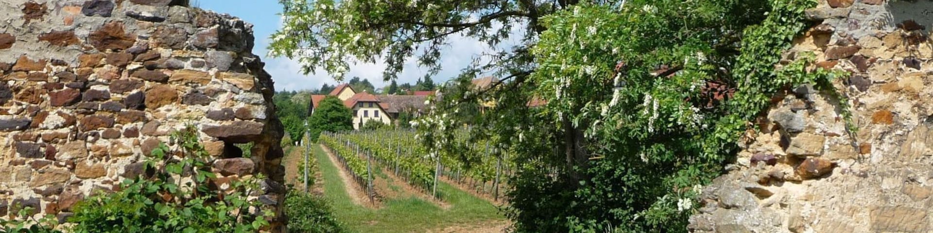 Zufahrt zu Burg Battenberg