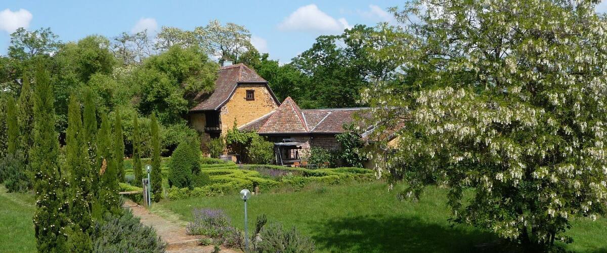 A stone pathway leading to a traditional house surrounded by lush greenery and flowering trees.