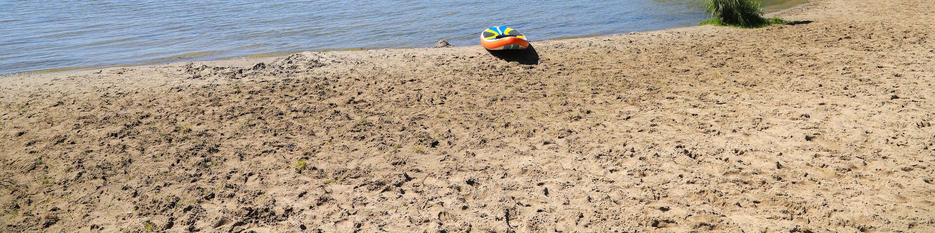 A sandy beach with a clear blue sky, a body of water, and a sign indicating no dogs allowed.