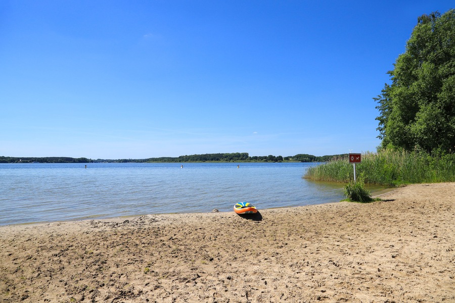 Ein sandiger Strand mit blauem Himmel, einem Gewässer und einem Schild, das daraufhinweist, dass Hunde nicht erlaubt sind.
